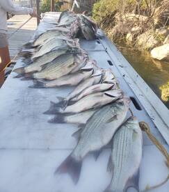 West Tawakoni Report Photo 2