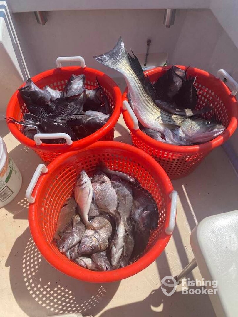 Montauk Report Photo 0