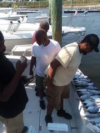 New York City Report Photo 1