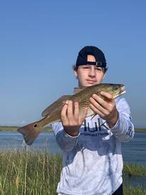 Tyner Report Photo 2