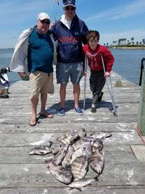 Galveston Report Photo 1