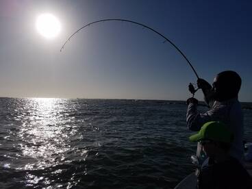 Galveston Report Photo 2