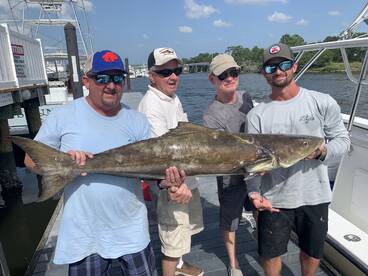 Virginia Beach Report Photo 2