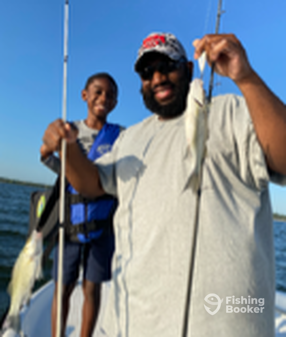 Grapevine Report Photo 0