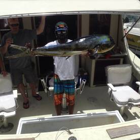 Four whaoo and 2 mahi mahi