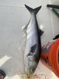 Scituate Report Photo 2