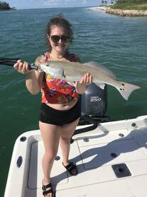 Sarasota Report Photo 2