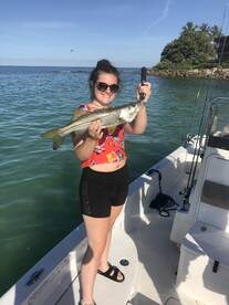 Sarasota Report Photo 1