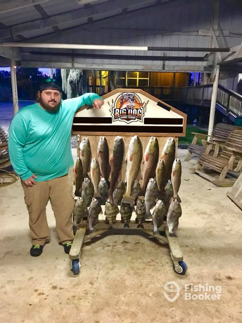 Barataria Report Photo 0