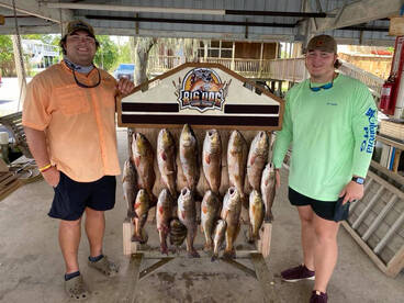 Barataria Report Photo 1