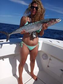 8/14/2020 kingfish, mahi, barracuda 