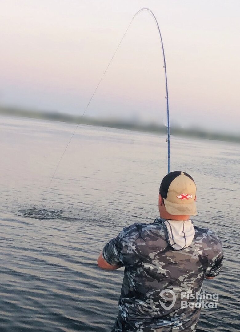 Mobile Report Photo 0