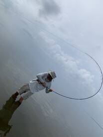 Mobile Report Photo 2