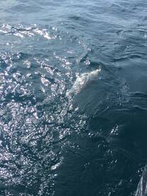 Oak Creek Report Photo 2