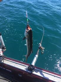 Oak Creek Report Photo 1