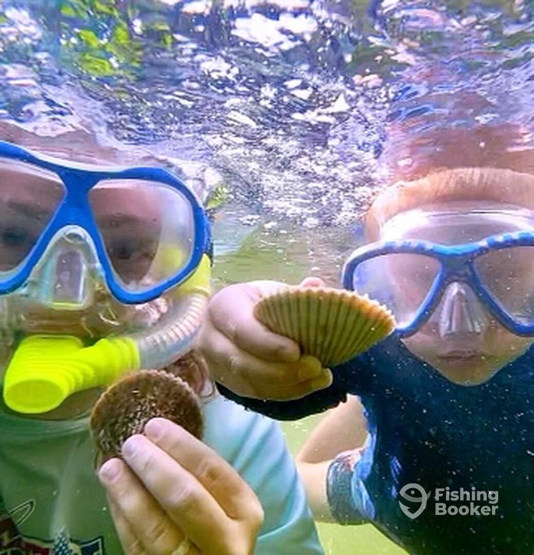 Crystal River Report Photo 0