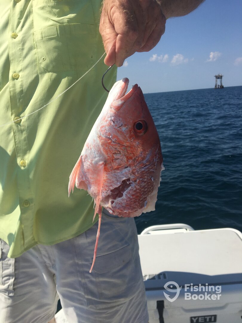 Port O'Connor Report Photo 0