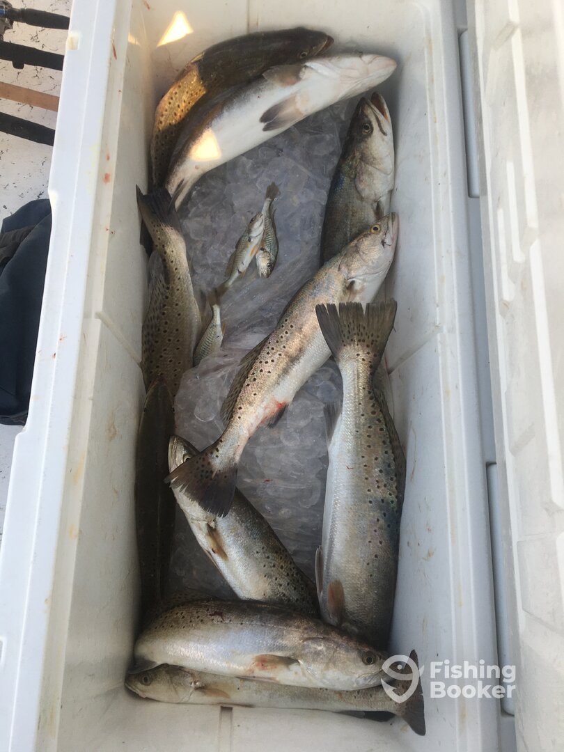 Port O'Connor Report Photo 0