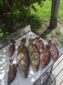 Ruskin Report Photo 1