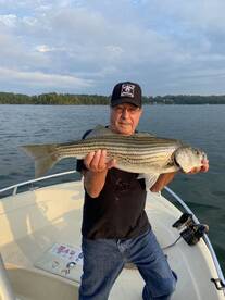 Cumming Report Photo 1