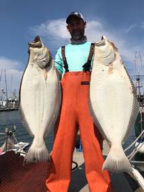 HALIBUT 