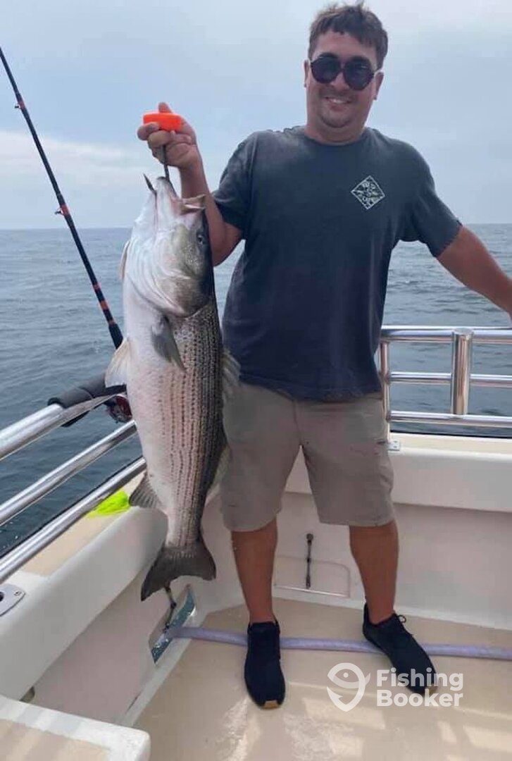 Montauk Report Photo 0