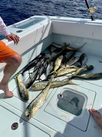 Key Largo Report Photo 2