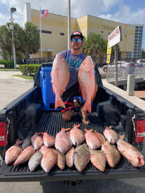 Dania Beach Report Photo 2