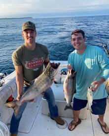 Frankfort Report Photo 2