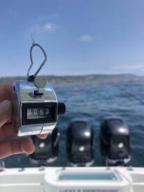 San Diego Report Photo 1