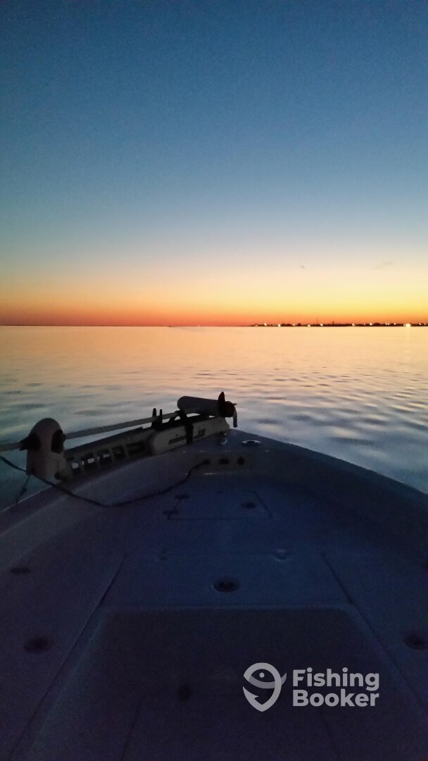 Grand Isle Report Photo 0