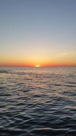 Grand Isle Report Photo 1