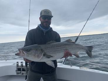 Dennis Report Photo 2