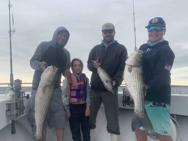 Dennis Report Photo 1