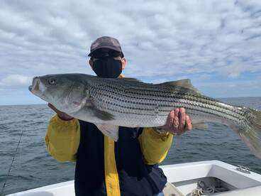 Dennis Report Photo 1