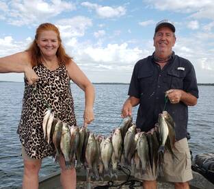 Grapevine Report Photo 2