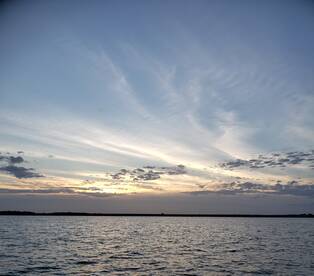 Grapevine Report Photo 1