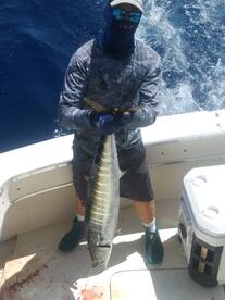 Wahoo Mahi Mahi and Kings