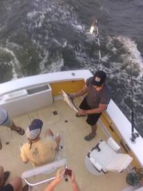 Wanchese Report Photo 2