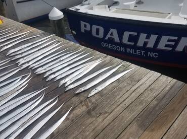 Nags Head Verslag Foto 1