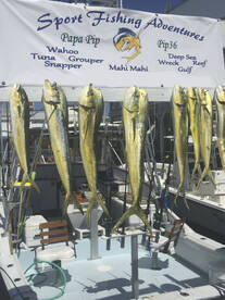 Marathon Report Photo 1