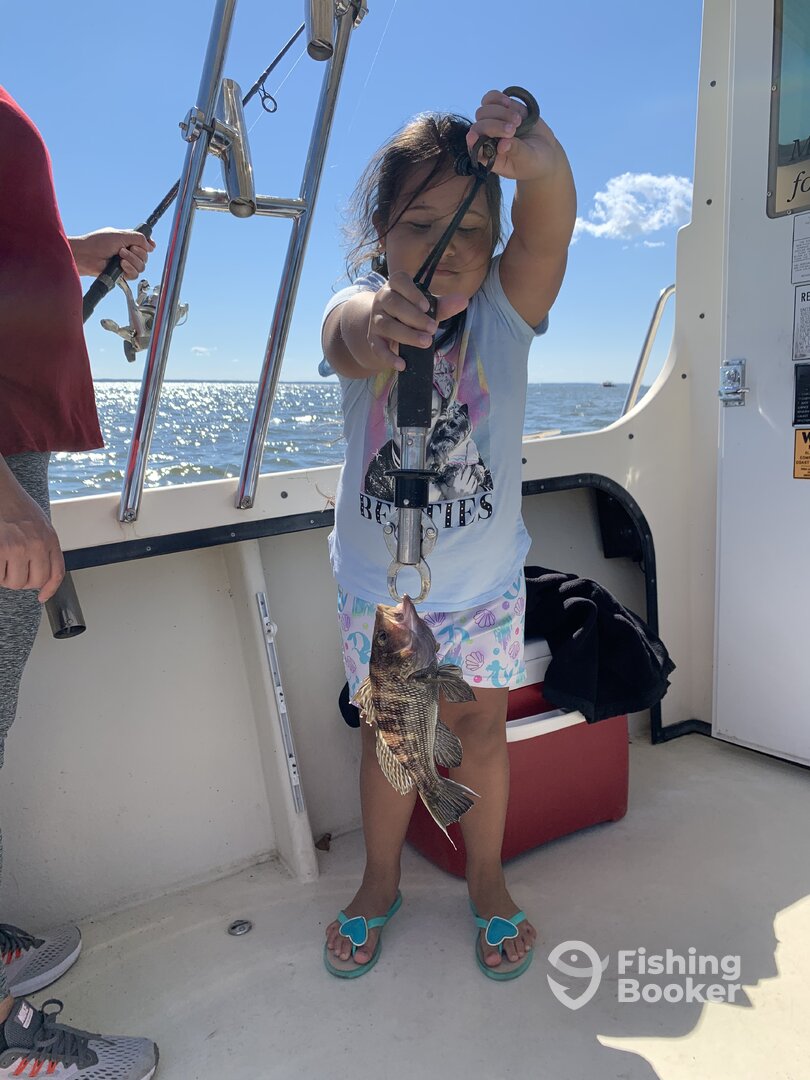 Bellevue Report Photo 0