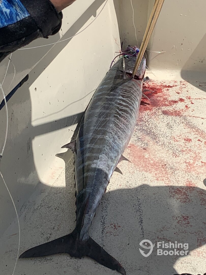 Hatteras Report Photo 0