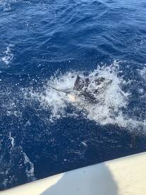 Hatteras Report Photo 2