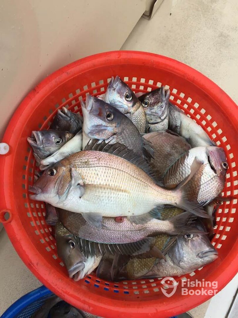 Montauk Report Photo 0