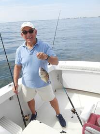 New York City Report Photo 2