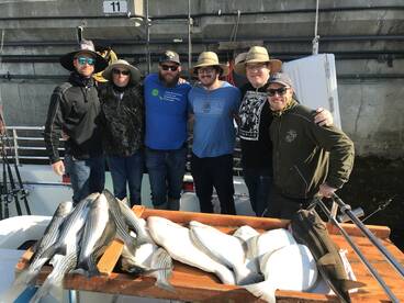 San Francisco Verslag Foto 1