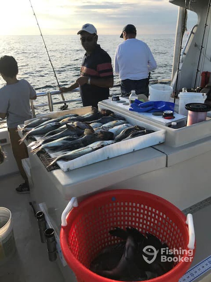 Montauk Report Photo 0