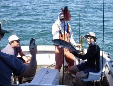 Orleans Report Photo 2