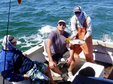 Orleans Report Photo 1